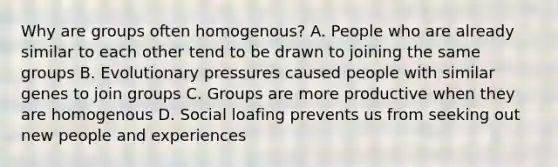 Why are groups often homogenous? A. People who are already similar to each other tend to be drawn to joining the same groups B. Evolutionary pressures caused people with similar genes to join groups C. Groups are more productive when they are homogenous D. Social loafing prevents us from seeking out new people and experiences