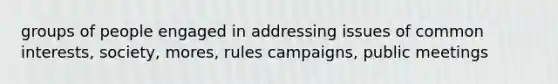 groups of people engaged in addressing issues of common interests, society, mores, rules campaigns, public meetings