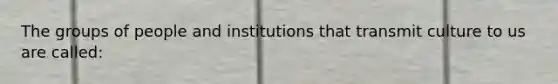 The groups of people and institutions that transmit culture to us are called: