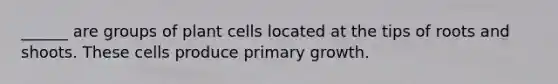 ______ are groups of plant cells located at the tips of roots and shoots. These cells produce primary growth.