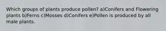 Which groups of plants produce pollen? a)Conifers and Flowering plants b)Ferns c)Mosses d)Conifers e)Pollen is produced by all male plants.