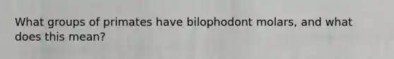 What groups of primates have bilophodont molars, and what does this mean?