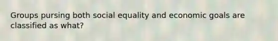 Groups pursing both social equality and economic goals are classified as what?