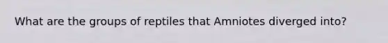 What are the groups of reptiles that Amniotes diverged into?