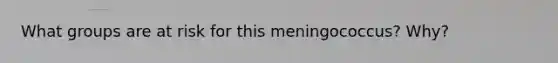 What groups are at risk for this meningococcus? Why?