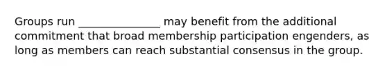 Groups run _______________ may benefit from the additional commitment that broad membership participation engenders, as long as members can reach substantial consensus in the group.