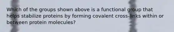 Which of the groups shown above is a functional group that helps stabilize proteins by forming covalent cross-links within or between protein molecules?