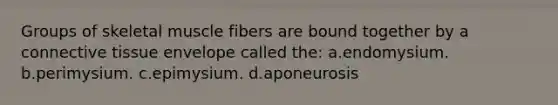 Groups of skeletal muscle fibers are bound together by a <a href='https://www.questionai.com/knowledge/kYDr0DHyc8-connective-tissue' class='anchor-knowledge'>connective tissue</a> envelope called the: a.endomysium. b.perimysium. c.epimysium. d.aponeurosis