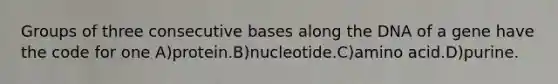 Groups of three consecutive bases along the DNA of a gene have the code for one A)protein.B)nucleotide.C)amino acid.D)purine.