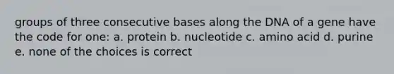 groups of three consecutive bases along the DNA of a gene have the code for one: a. protein b. nucleotide c. amino acid d. purine e. none of the choices is correct