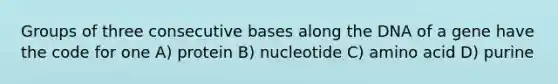 Groups of three consecutive bases along the DNA of a gene have the code for one A) protein B) nucleotide C) amino acid D) purine