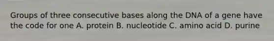 Groups of three consecutive bases along the DNA of a gene have the code for one A. protein B. nucleotide C. amino acid D. purine