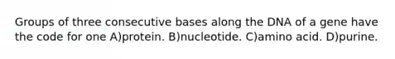 Groups of three consecutive bases along the DNA of a gene have the code for one A)protein. B)nucleotide. C)amino acid. D)purine.