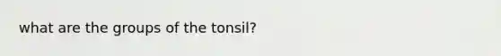 what are the groups of the tonsil?