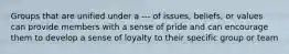 Groups that are unified under a --- of issues, beliefs, or values can provide members with a sense of pride and can encourage them to develop a sense of loyalty to their specific group or team