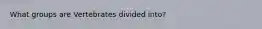 What groups are Vertebrates divided into?