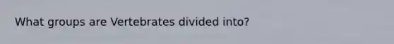 What groups are Vertebrates divided into?