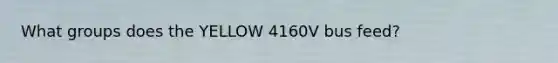 What groups does the YELLOW 4160V bus feed?