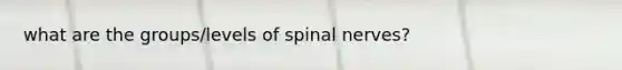 what are the groups/levels of spinal nerves?