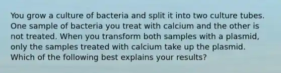 You grow a culture of bacteria and split it into two culture tubes. One sample of bacteria you treat with calcium and the other is not treated. When you transform both samples with a plasmid, only the samples treated with calcium take up the plasmid. Which of the following best explains your results?