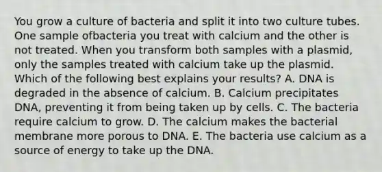 You grow a culture of bacteria and split it into two culture tubes. One sample ofbacteria you treat with calcium and the other is not treated. When you transform both samples with a plasmid, only the samples treated with calcium take up the plasmid. Which of the following best explains your results? A. DNA is degraded in the absence of calcium. B. Calcium precipitates DNA, preventing it from being taken up by cells. C. The bacteria require calcium to grow. D. The calcium makes the bacterial membrane more porous to DNA. E. The bacteria use calcium as a source of energy to take up the DNA.