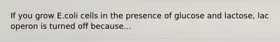 If you grow E.coli cells in the presence of glucose and lactose, lac operon is turned off because...