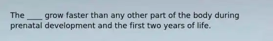 The ____ grow faster than any other part of the body during prenatal development and the first two years of life.