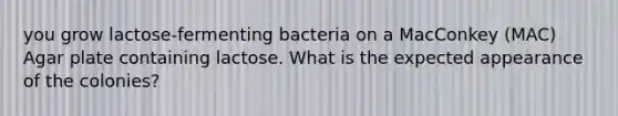 you grow lactose-fermenting bacteria on a MacConkey (MAC) Agar plate containing lactose. What is the expected appearance of the colonies?