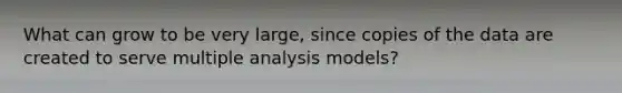 What can grow to be very large, since copies of the data are created to serve multiple analysis models?