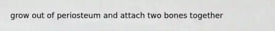 grow out of periosteum and attach two bones together