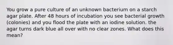 You grow a pure culture of an unknown bacterium on a starch agar plate. After 48 hours of incubation you see bacterial growth (colonies) and you flood the plate with an iodine solution. the agar turns dark blue all over with no clear zones. What does this mean?