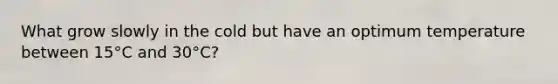 What grow slowly in the cold but have an optimum temperature between 15°C and 30°C?