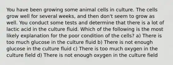 You have been growing some animal cells in culture. The cells grow well for several weeks, and then don't seem to grow as well. You conduct some tests and determine that there is a lot of lactic acid in the culture fluid. Which of the following is the most likely explanation for the poor condition of the cells? a) There is too much glucose in the culture fluid b) There is not enough glucose in the culture fluid c) There is too much oxygen in the culture field d) There is not enough oxygen in the culture field