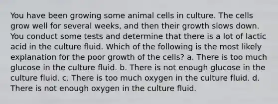 You have been growing some animal cells in culture. The cells grow well for several weeks, and then their growth slows down. You conduct some tests and determine that there is a lot of lactic acid in the culture fluid. Which of the following is the most likely explanation for the poor growth of the cells? a. There is too much glucose in the culture fluid. b. There is not enough glucose in the culture fluid. c. There is too much oxygen in the culture fluid. d. There is not enough oxygen in the culture fluid.