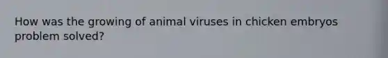 How was the growing of animal viruses in chicken embryos problem solved?