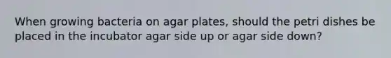 When growing bacteria on agar plates, should the petri dishes be placed in the incubator agar side up or agar side down?