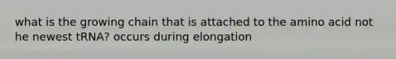 what is the growing chain that is attached to the amino acid not he newest tRNA? occurs during elongation