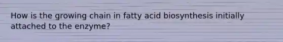 How is the growing chain in <a href='https://www.questionai.com/knowledge/kKyuSsPUxl-fatty-acid-biosynthesis' class='anchor-knowledge'>fatty acid biosynthesis</a> initially attached to the enzyme?