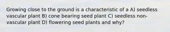 Growing close to the ground is a characteristic of a A) seedless vascular plant B) cone bearing seed plant C) seedless non-vascular plant D) flowering seed plants and why?