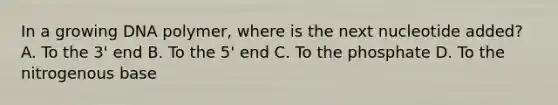 In a growing DNA polymer, where is the next nucleotide added? A. To the 3' end B. To the 5' end C. To the phosphate D. To the nitrogenous base