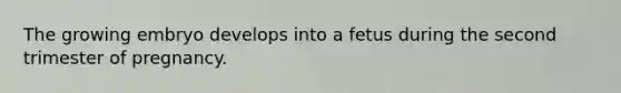 The growing embryo develops into a fetus during the second trimester of pregnancy.