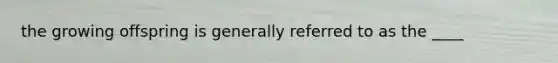 the growing offspring is generally referred to as the ____