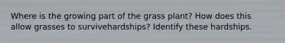 Where is the growing part of the grass plant? How does this allow grasses to survivehardships? Identify these hardships.