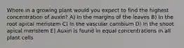 Where in a growing plant would you expect to find the highest concentration of auxin? A) In the margins of the leaves B) In the root apical meristem C) In the vascular cambium D) In the shoot apical meristem E) Auxin is found in equal concentrations in all plant cells