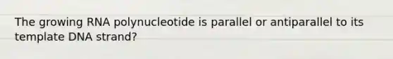 The growing RNA polynucleotide is parallel or antiparallel to its template DNA strand?