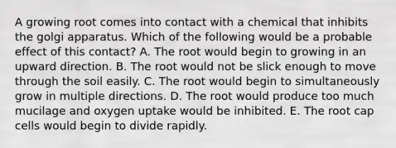 A growing root comes into contact with a chemical that inhibits the golgi apparatus. Which of the following would be a probable effect of this contact? A. The root would begin to growing in an upward direction. B. The root would not be slick enough to move through the soil easily. C. The root would begin to simultaneously grow in multiple directions. D. The root would produce too much mucilage and oxygen uptake would be inhibited. E. The root cap cells would begin to divide rapidly.