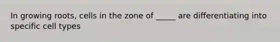 In growing roots, cells in the zone of _____ are differentiating into specific cell types