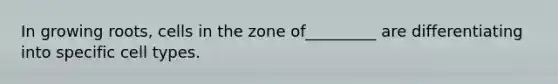 In growing roots, cells in the zone of_________ are differentiating into specific cell types.