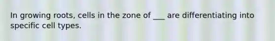 In growing roots, cells in the zone of ___ are differentiating into specific cell types.