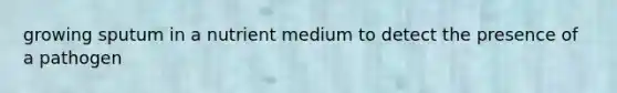 growing sputum in a nutrient medium to detect the presence of a pathogen